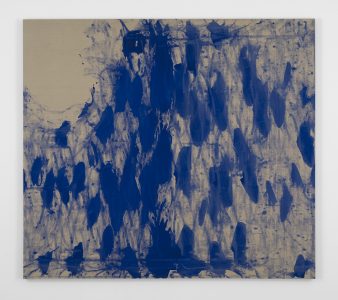 Addie Wagenknecht self portrait – snow on cedar (winter)