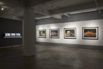 Claudia Hart, When A Rose is Not a Rose, bitforms gallery, 2011