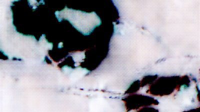 Casey Reas
<i>Earthly Delights 1.3</i>, 2019
Custom software (color, silent), computer, screen or projector
Dimensions variable, landscape orientation