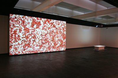 Casey Reas Process 11 (Installation 1)