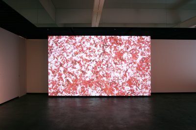 Casey Reas Process 11 (Installation 1)