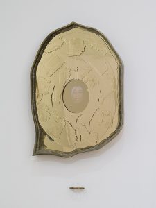 Coralina Meyer The Mirror Is Your Best Friend (and other tales of disappearance)