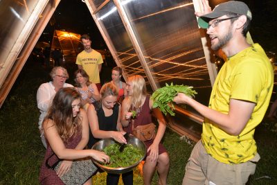 Marina Zurkow Making the Best of It: Dandelion
