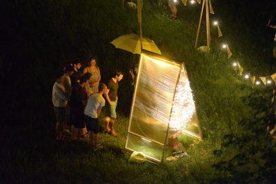 Marina Zurkow Making the Best of It: Dandelion