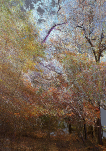 Quayola Pointillisme #04_05081, 2021