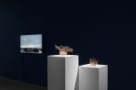 Sara Ludy, Unearth, bitforms gallery