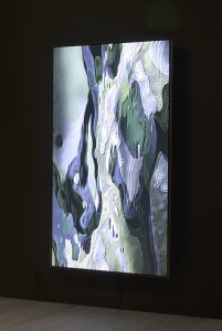 Sara Ludy Cloud Relief 2