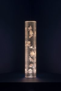 Sara Ludy Core sample 1
