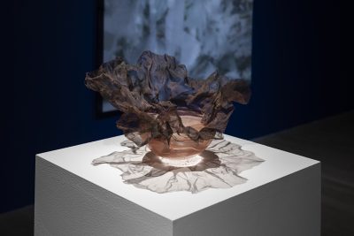 Sara Ludy Nest 1