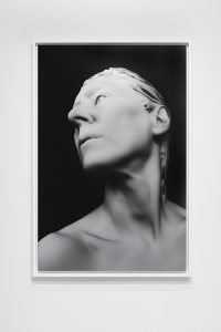 Susan Silas, AGING VENUS (cam_15)