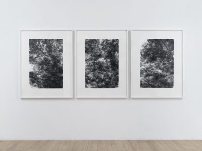 Tristan Perich Three Machine Drawings (2018-02-09)