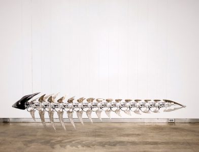 U-Ram Choe Echo Navigo (Adult)