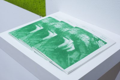 Bo Zheng, A Chinese Communist Garden in Paris (Proposal I)