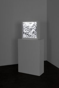 Refik Anadol, Quantum Memories Noise