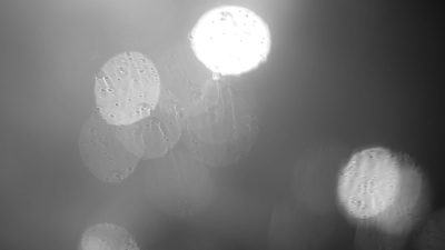 bf_raining_light.00_00_29_20.still002_w