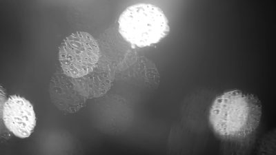 bf_raining_light.00_01_00_17.still003_w