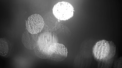 Bill Fontana, Raining Light