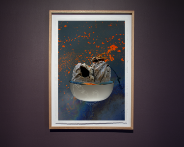 Marina Zurkow Crucible for surging, bursting, and spreading, 2022
