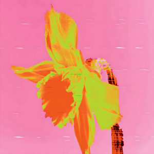 Ellie Pritts Static Glitch Fleur I, 2023