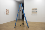 Installation View of wall text for Alexander Reben "Delusions of a Time-Traveling Cactus"