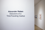 Installation View of wall text for Alexander Reben "Delusions of a Time-Traveling Cactus"