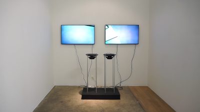 Gary Hill Language Pit, 2016/2021 Video (color, sound), micro-video camera, speakers, projectors or displays Dimensions variable Edition of 2, 1 AP