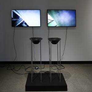 Gary Hill Language Pit, 2016/2021 Video (color, sound), micro-video camera, speakers, projectors or displays Dimensions variable Edition of 2, 1 AP