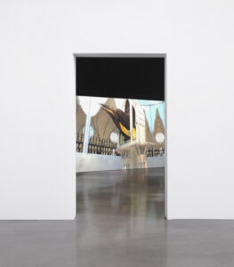 FrenchPenguin_install01