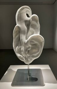 Ear Flower by Alexander Reben, 2023