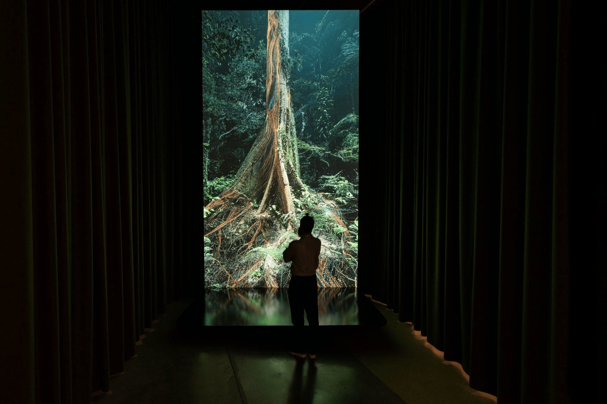 Sanctuary of the Unseen Forest by Marshmallow Laser Feast