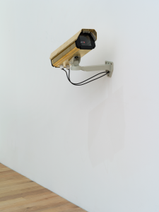 -r-xr-xr-x by Addie Wagenknecht, 2014