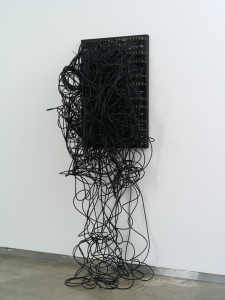 Kilohydra 1 by Addie Wagenknecht, 2013