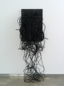 Kilohydra 1 by Addie Wagenknecht, 2013