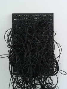 Kilohydra 1 by Addie Wagenknecht, 2013