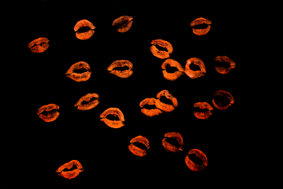Glass Ceiling: Kiss Me by Addie Wagenknecht, 2014