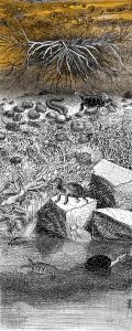 Deathwork (Roots and Aquifer) by Marina Zurkow, 2024