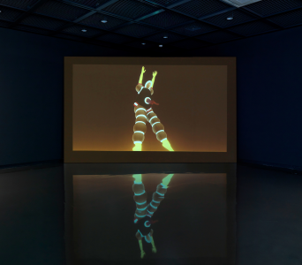 On Synchronics by Claudia Hart, 2013