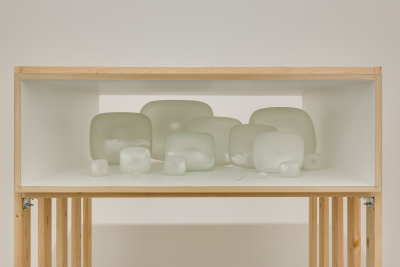 Inasmuch As It Has Already Taken Place by Gary Hill, 2014