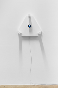 Self (C) by Gary Hill, 2016