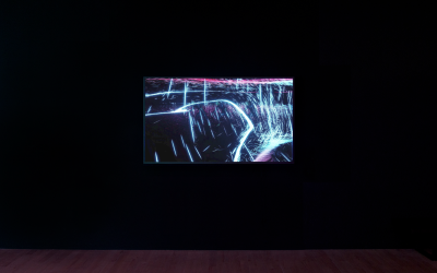 Movement Portraits—Nala v1 by LaJuné McMillian, 2019–ongoing