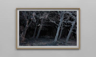 Pleasant Places #S006.004 by Quayola, 2016