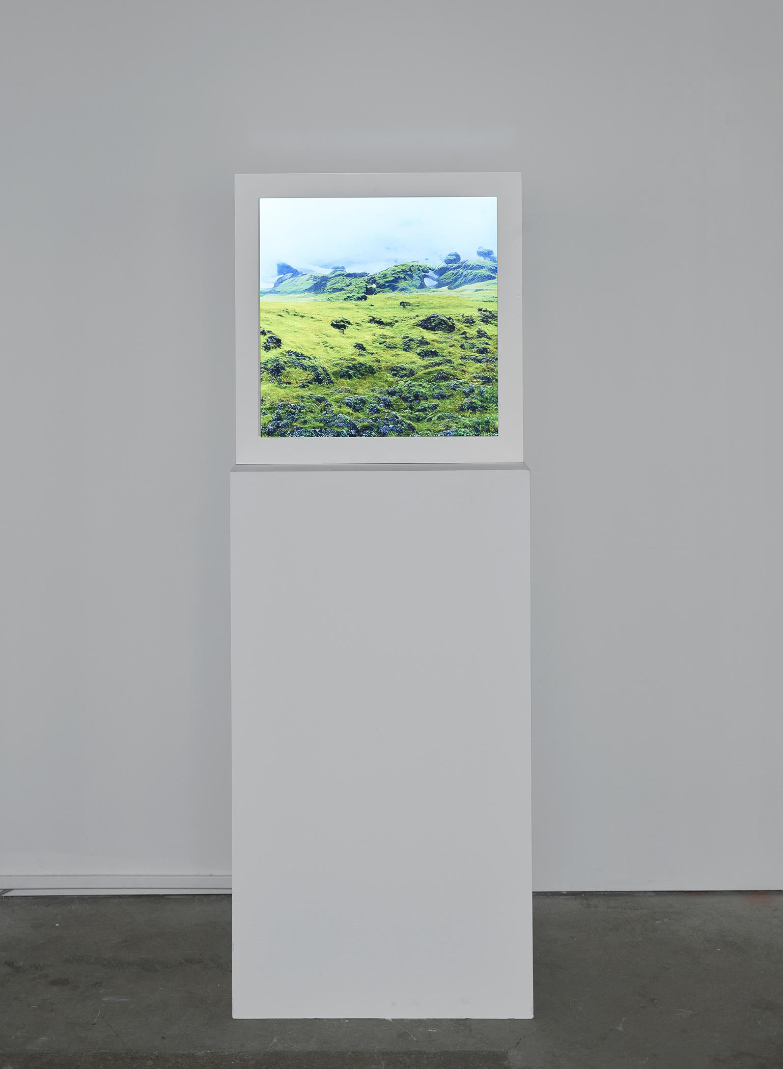 Machine Hallucinations Nature Dreams Study I by Refik Anadol