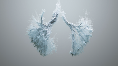 mlf_breathcycles_01_al
