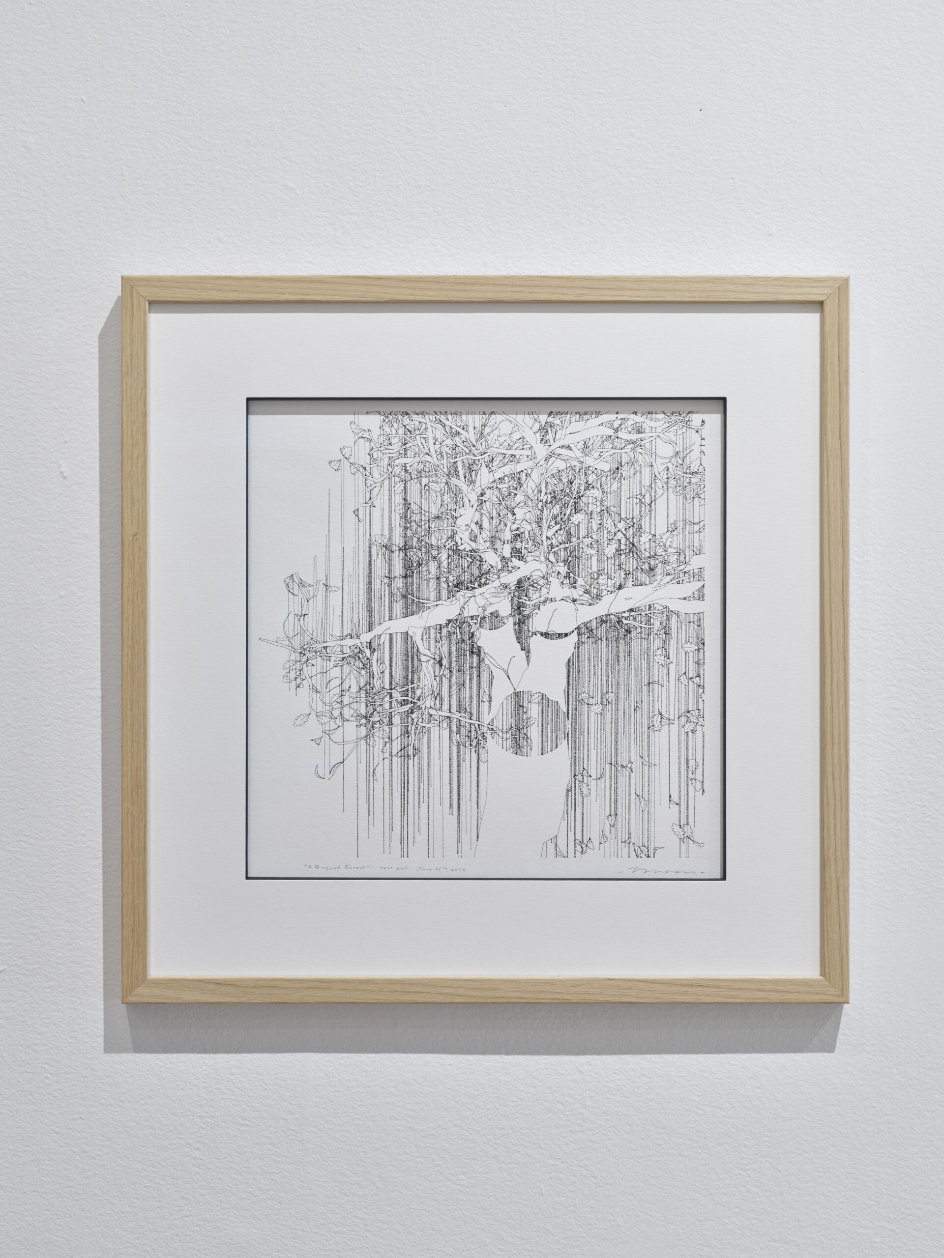 Tree_Line - bitforms gallery