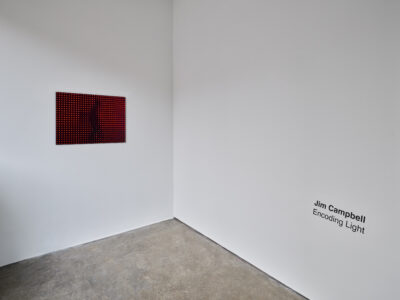 Bitforms_Jim Campbell_9229_5000px_300dpi