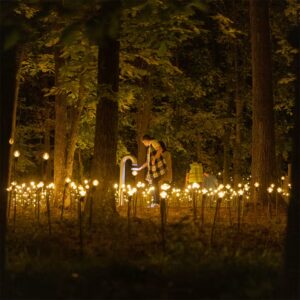 4a9904a2-f25e-11f0-9ea6-8aa3ac33cee5