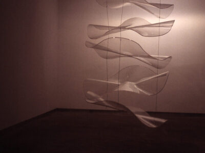 anemone2-aspect-ratio-4-3