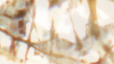 CR-3082-image